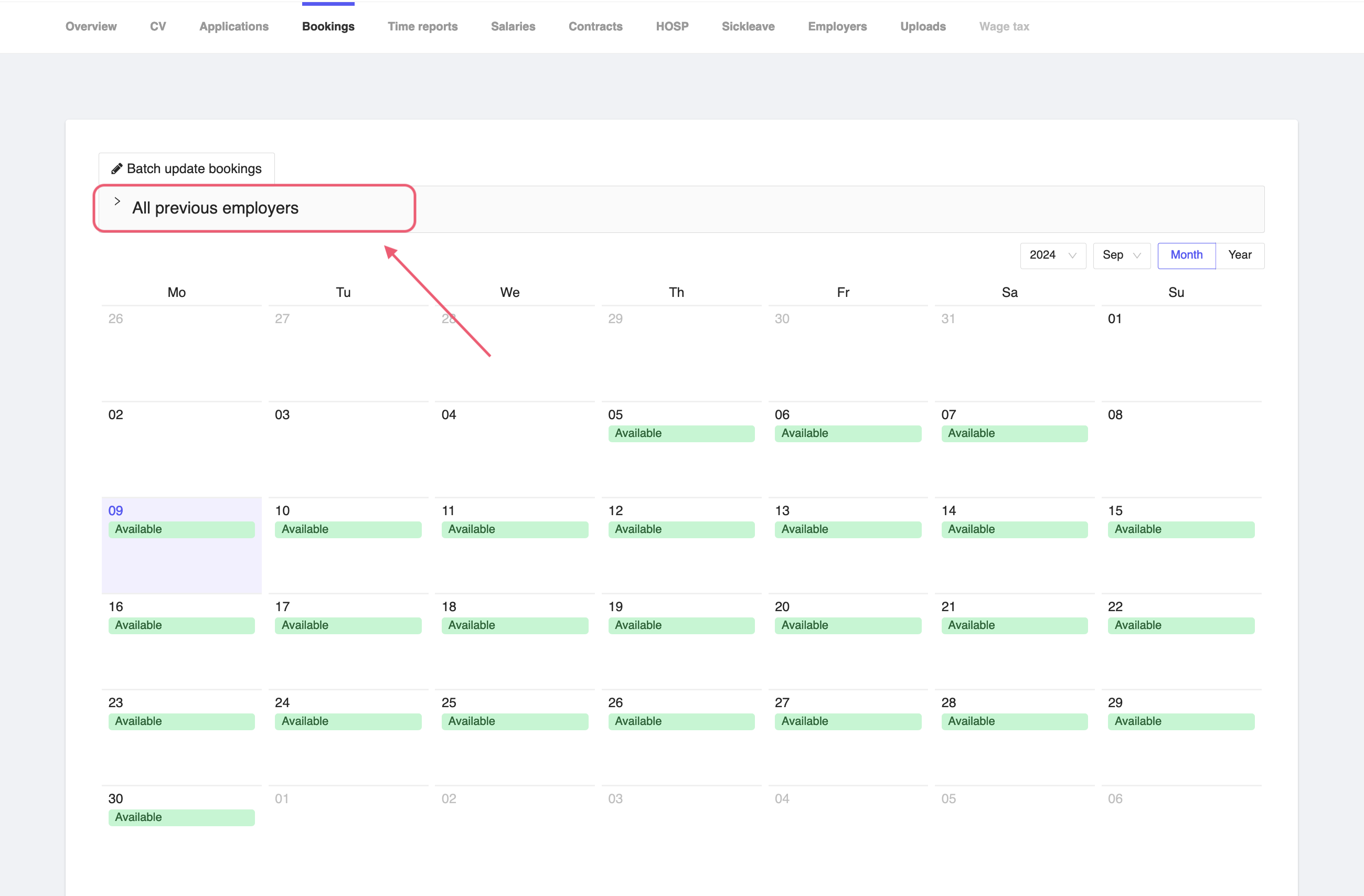 Consultant Previous Employers