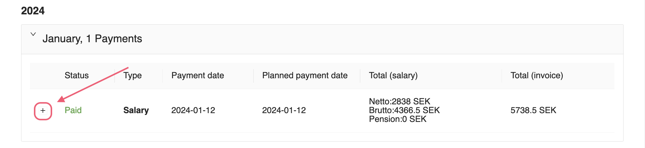 Consultant Salaries Paid
